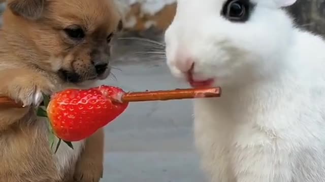 Don't eat my share๐๐