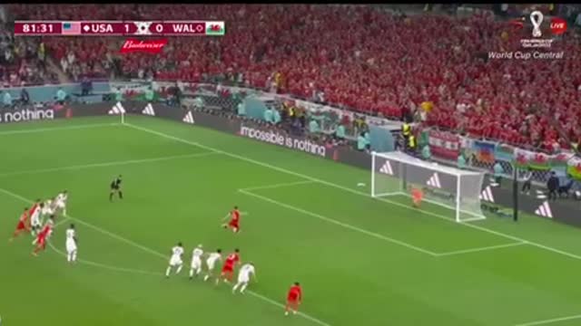 America vs wales football world cup 2022 highlights