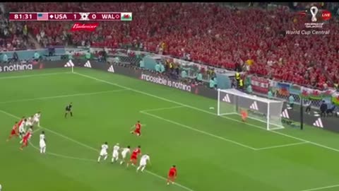 America vs wales football world cup 2022 highlights