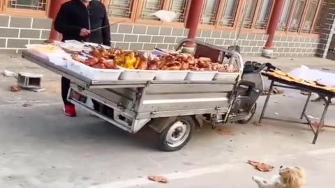 Funniest Videos 2023 😂 Funny Cats 🐱 and Dogs 🐶 Part 53