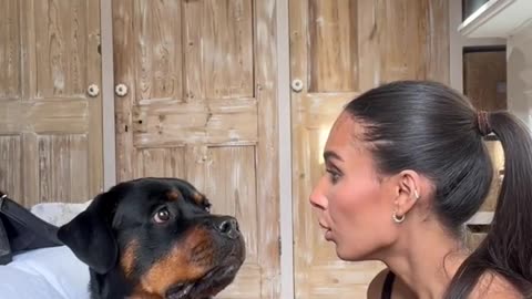 Funny dog