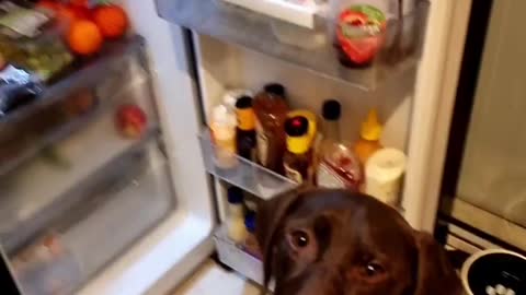 Anyone who remembers the film 'friday' will enjoy this 🤣