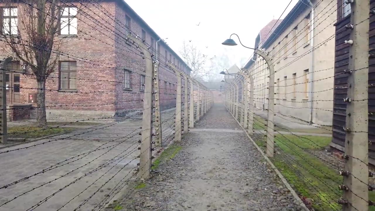 AUSCHWITZ WALKING TOUR!!