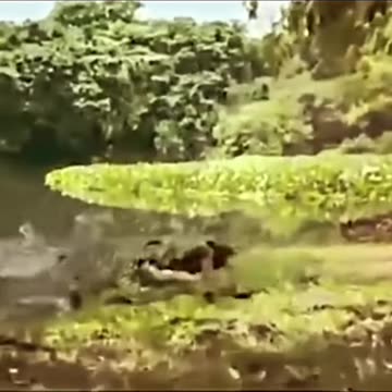 Wow how 🤔 😳 🙄🙄🙄