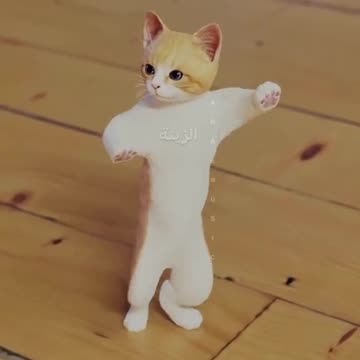 cat dancing video, cat vwry funny video