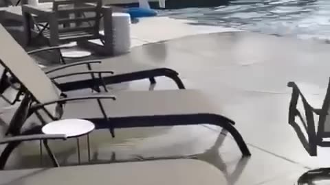 🇺🇸Video of the earthquake in California, USA and its consequences.