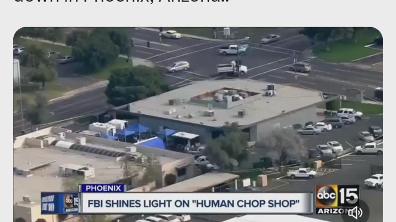 Pedo - Human Body Shop