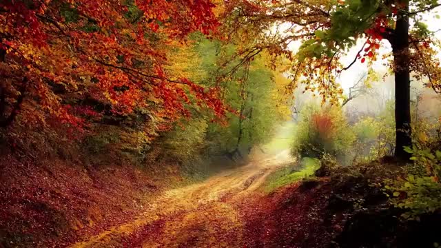 Whenever you feel sad, liSten to this storY | motivational Story about raven