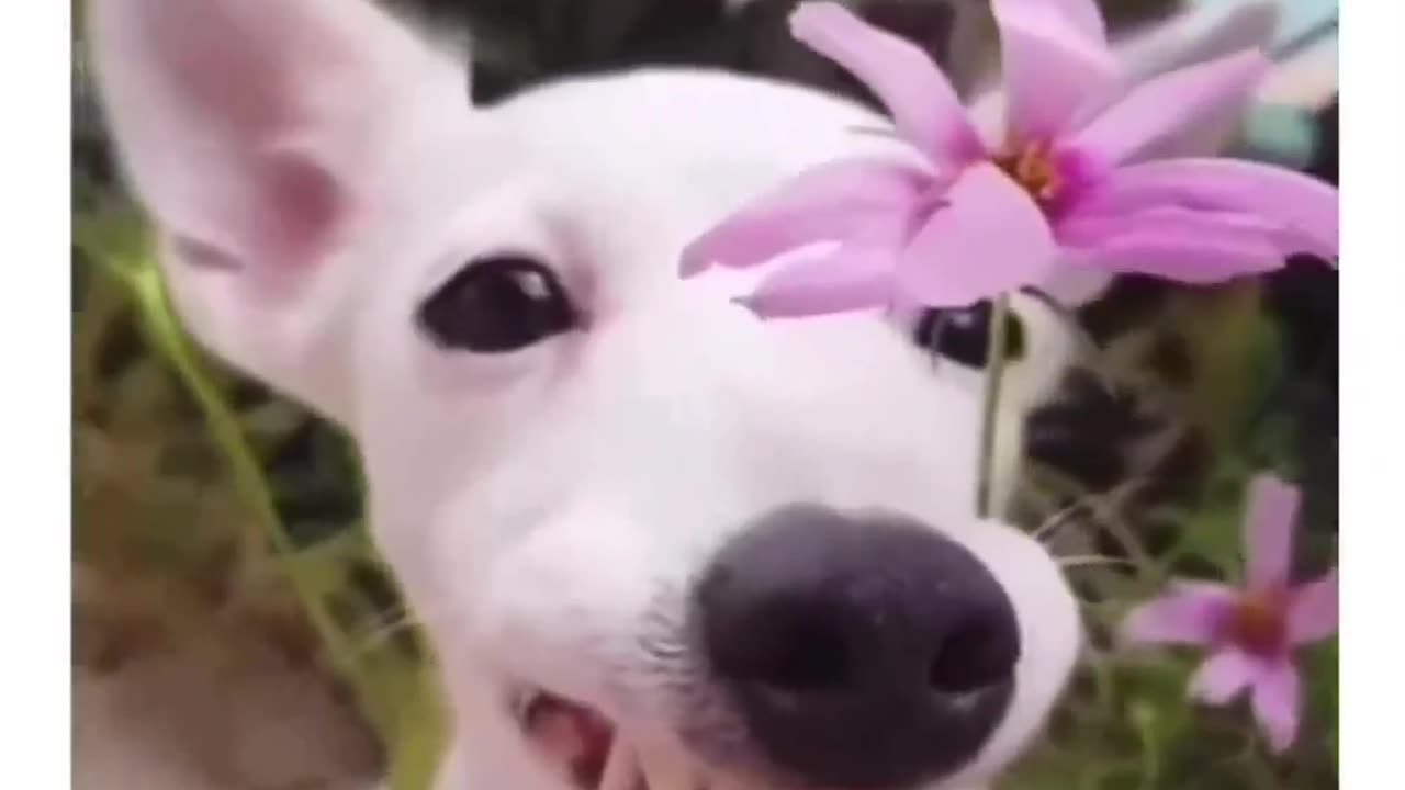 Good morning sir