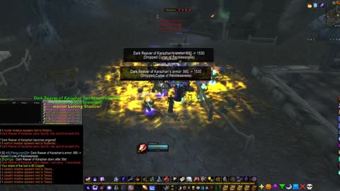 Turtle wow - PUG Dark Reaver - world boss - Mage POV - 10 November