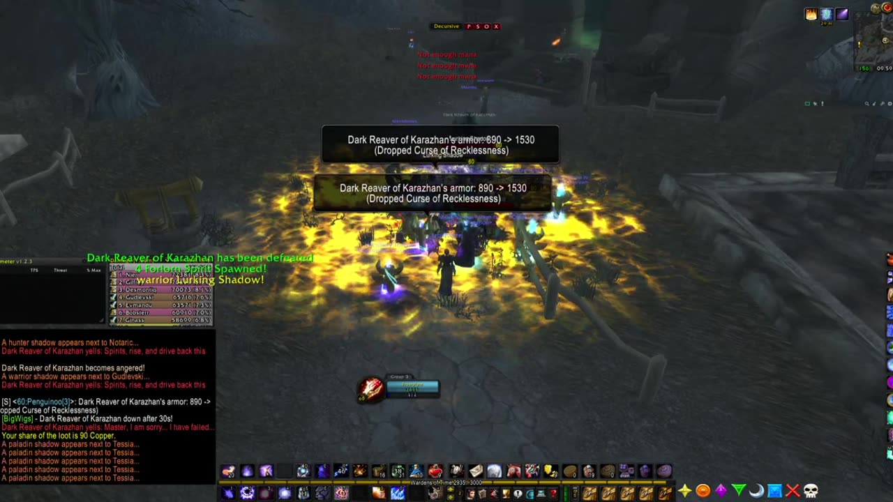 Turtle wow - PUG Dark Reaver - world boss - Mage POV - 10 November