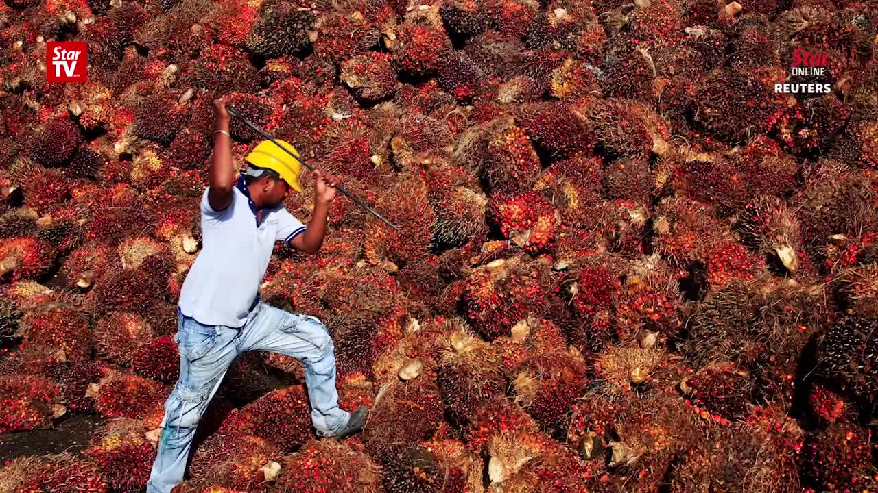 Mah_ Malaysia “can” retaliate if EU discriminates against palm oil