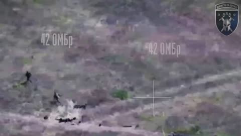 Ukrainian Drones Hunting Down Russian Infantry Group