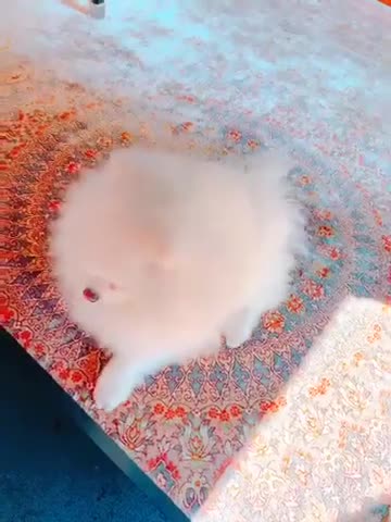 Rkxve9hYgekfskNFnxmkKo