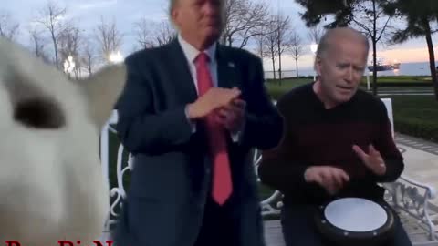 biden sings trump dances cat vibes ( Ievan Polkka ) deepfake