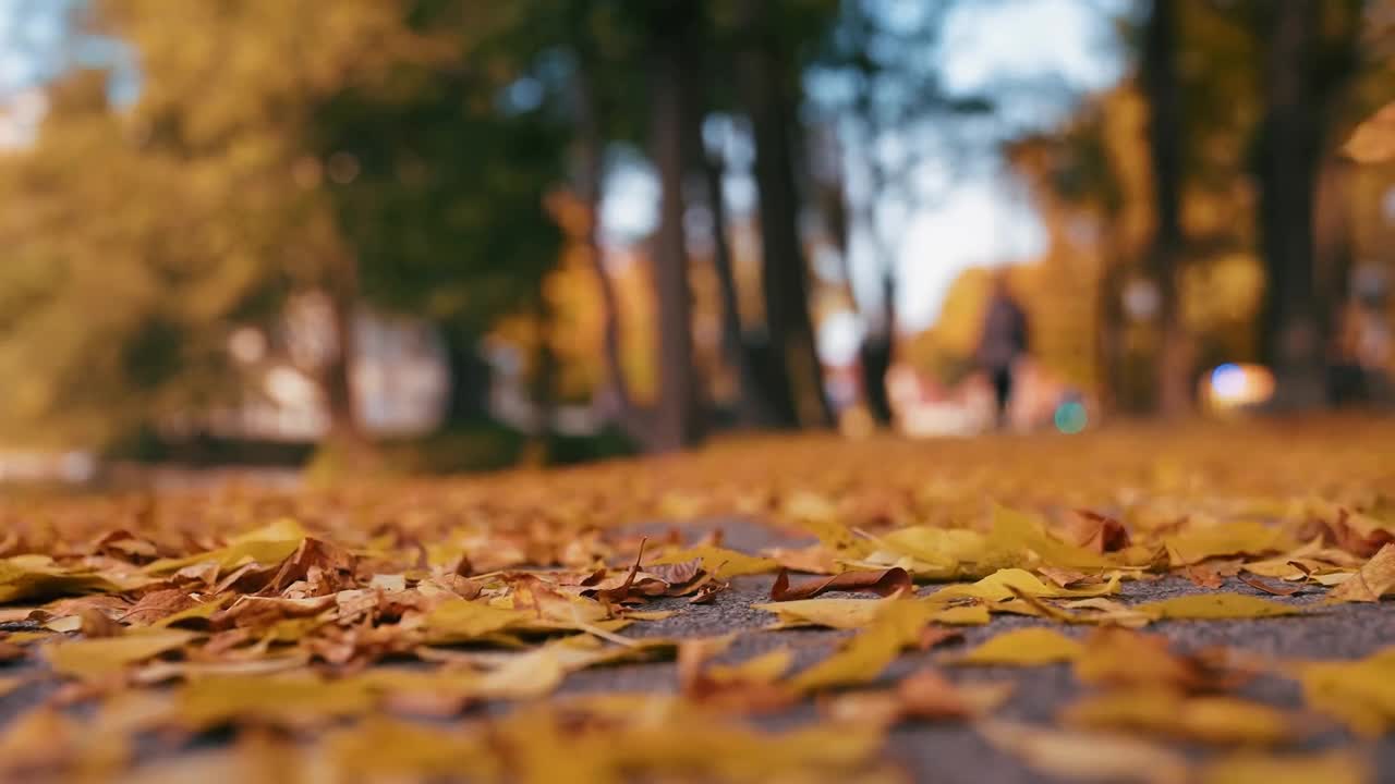 Enchanting Autumn Forests with Beautiful Piano Music