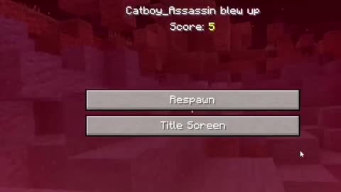 Joining Random minecraft servers