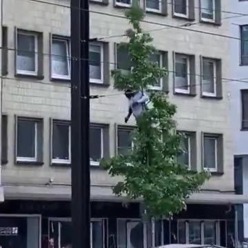 Cultural enrichment in Europe.