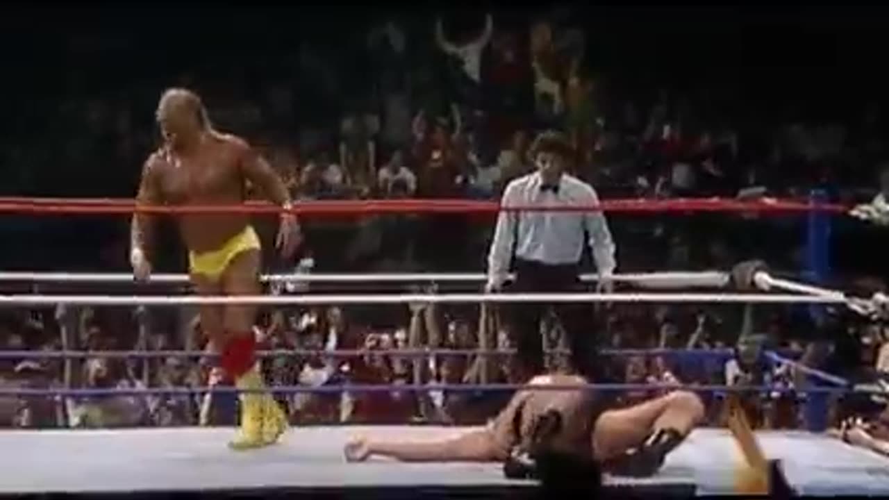 Hulk Hogan Bodyslams Andre The Giant