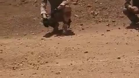 French Soldiers arrested by Mali border guard