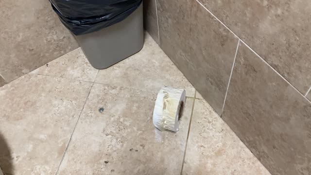 tp for my pee pee urination