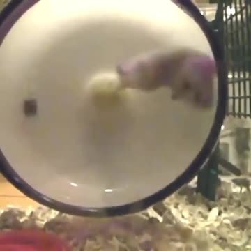 Отмечайте того, кто также крутится в этой жизни