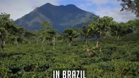 Alien Encounter in Brazil!