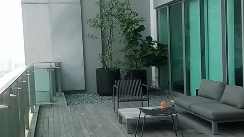 Rooftop room