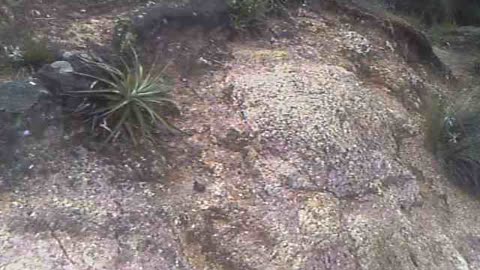 Ancient Stone Wall Ludo Ecuador