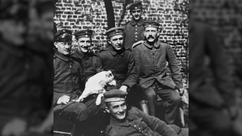 Hitler and his Dogs