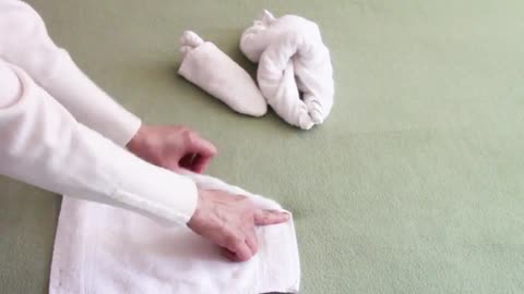 Towel Folding - How to Make a Towel Animal Lizard; Towel Origami; Towel Art; Animal de toalla