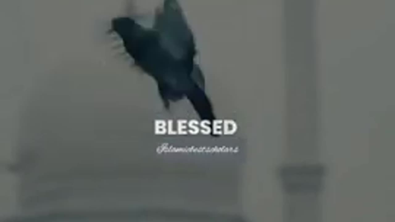 🌹beautiful Islamic status🌹|Islamic status |Islamic status for whatsapp🌻|sad Islamic status| #shorts