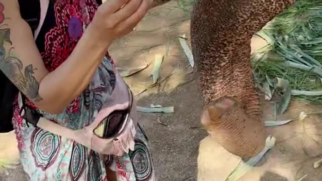 AMAZING THINGS you can da In Thailand