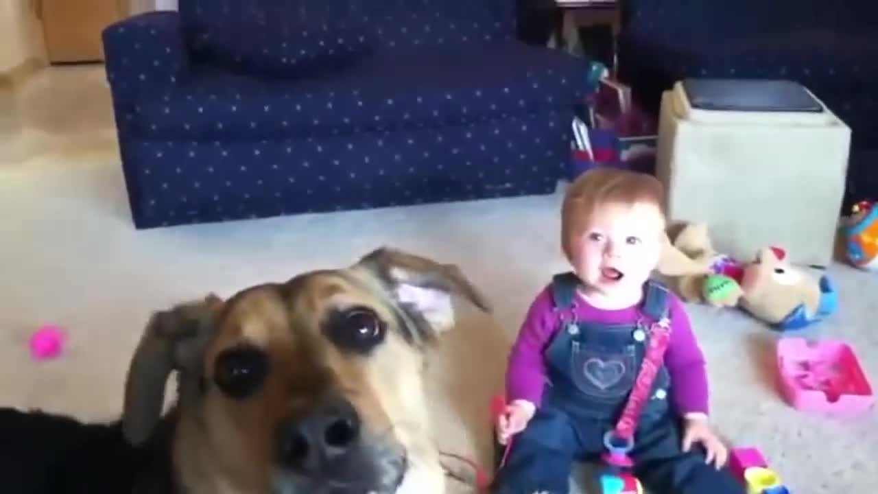 Bebe riendo a carcajadas _) Perro explotando pompas de agua
