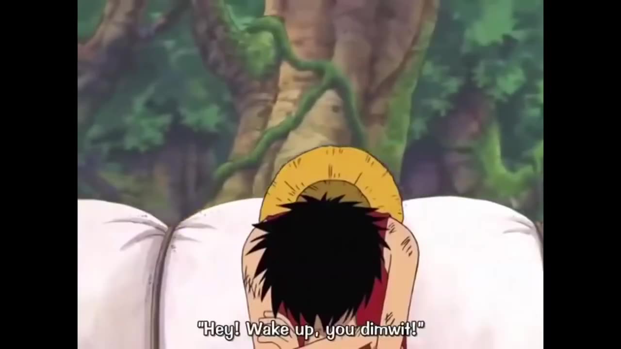 Luffy being himself!