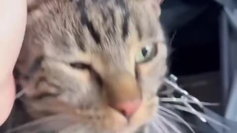IT_HURTS_MY_HEART_HEARING_HIM_CRY_😿_#viral(720p)