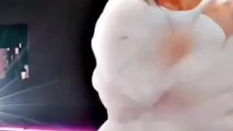Jungkook's Mesmerizing Dance: Unleashing Passion on the Floor!"