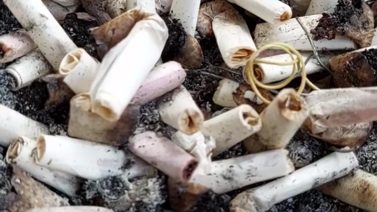 Why are people smoking lavender?