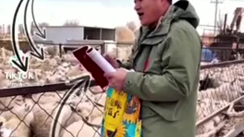 Watching the news on TV