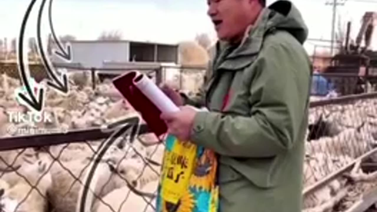 Watching the news on TV