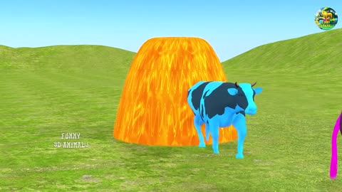 Animal paint video for kids