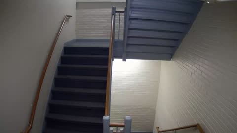 3881FHOB03Stair6_2021-01-06_12h00min01s120ms.mp4