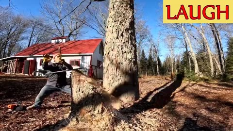 Try Not To Laugh | Best Funny Video 😆
