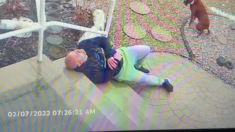 Man Slips on Stairs Letting the Dogs Out