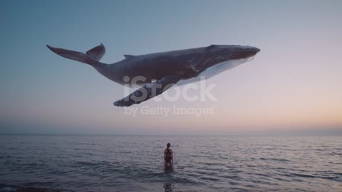 Whale flies over surface of ocean, or sea. Computer animation.