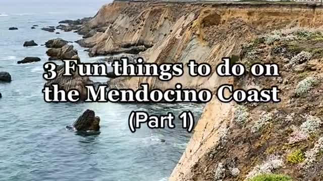 3 Fun things to do on the Mendocino Coast (Part 1)