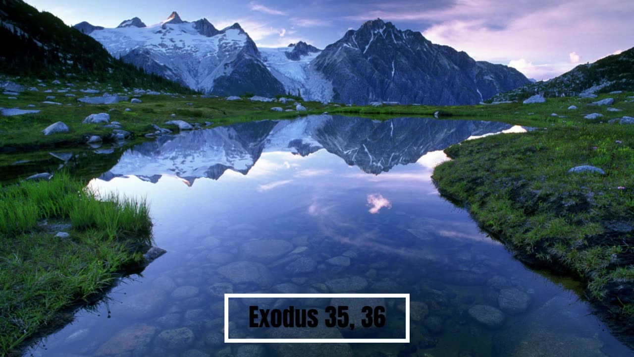 One Year Chronological Bible Day 43
