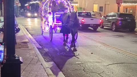 BradKuz76 Downtown San Antonio carriage ride