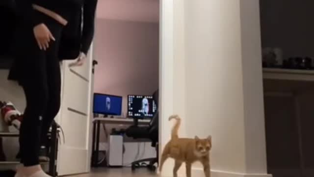 Now we will learn with you an exercise that I will show...