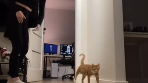Now we will learn with you an exercise that I will show...